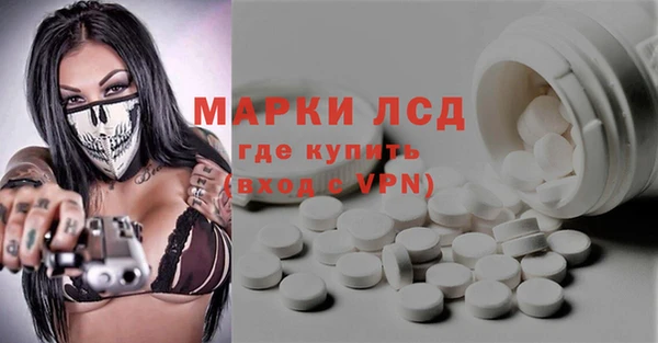 прущий лед Новозыбков
