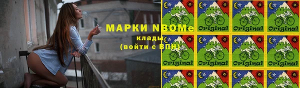 стафф Новодвинск