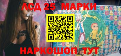 дмт Гатчина